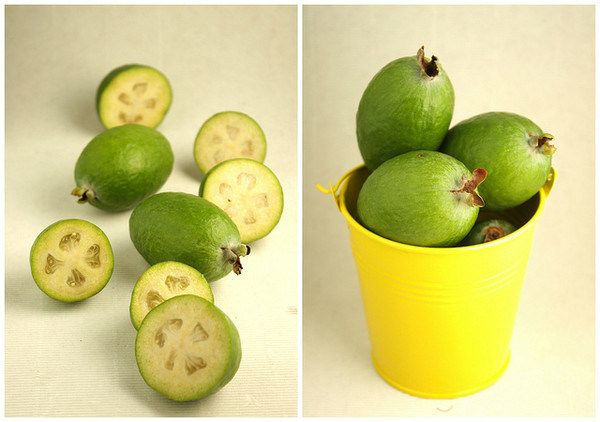 Ветрозащитный вентилятор для дерева фейхоа (FSJ-85)