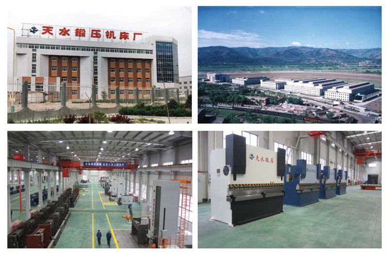 Гидравлический листогибочный пресс / листогибочный станок / фальцевальная машина (WH67Y-160/3200)