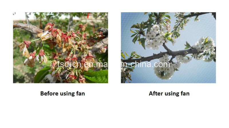 Вентилятор для сада, используемый на фермах (FSJ-85)