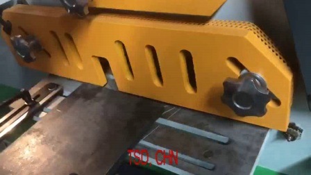 Железный рабочий с ножницами, пуансон (90T, 20 мм и Φ 30 мм)